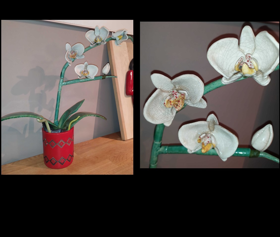 Orchidée