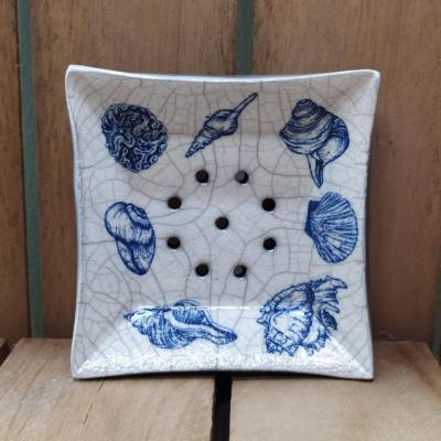 Coquillages bleus