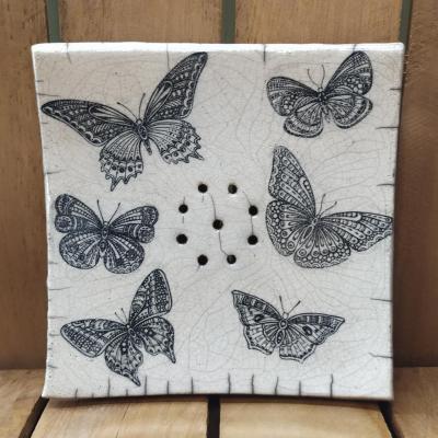 Papillons noirs